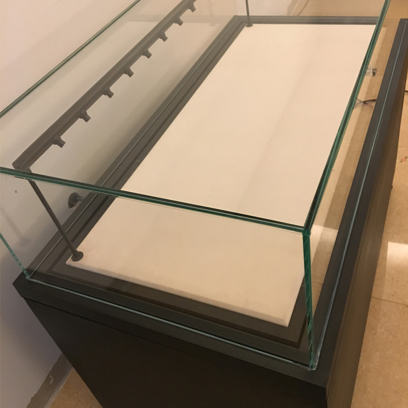 ݵ綯ºʪͷչʾƽ 95-FF005